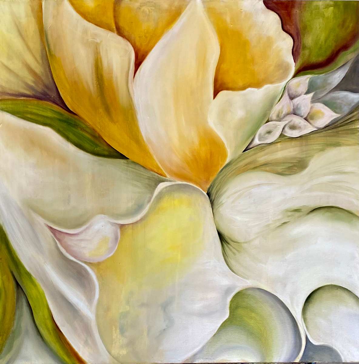 The Lily's Dream by Ansley Pye 