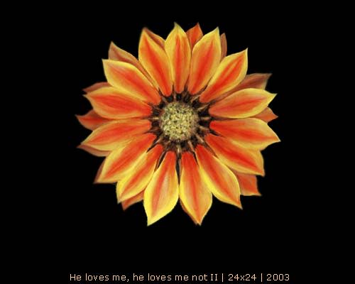 He Love me, he loves me not by Ansley Pye 