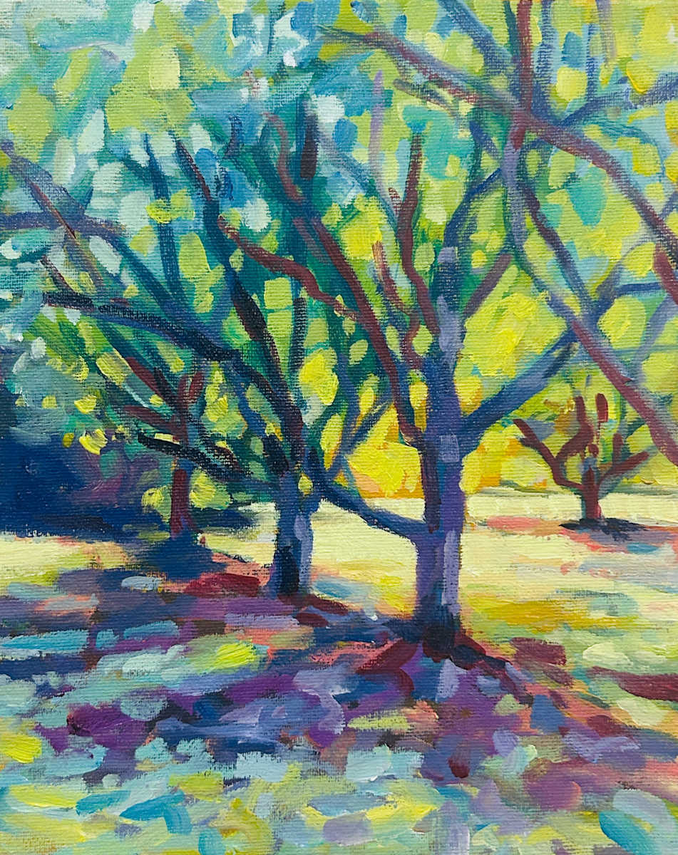 Hazelwood garden 2 by Clair Bremner 