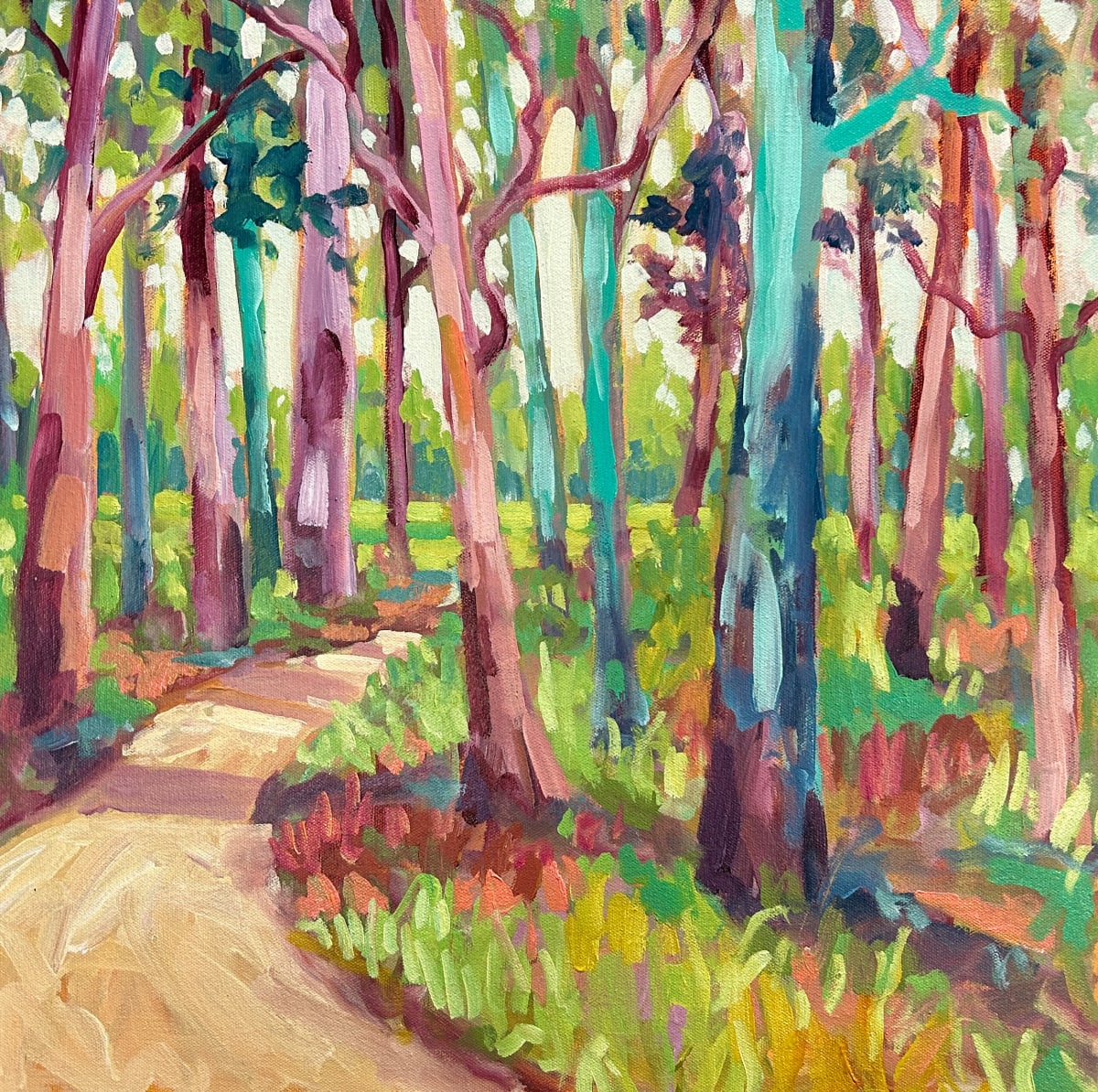 Bushland Stroll by Clair Bremner 