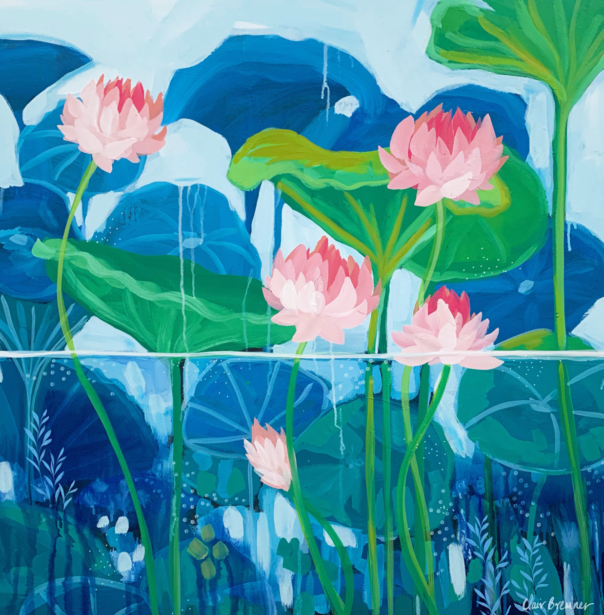 Nymphaea by Clair Bremner 