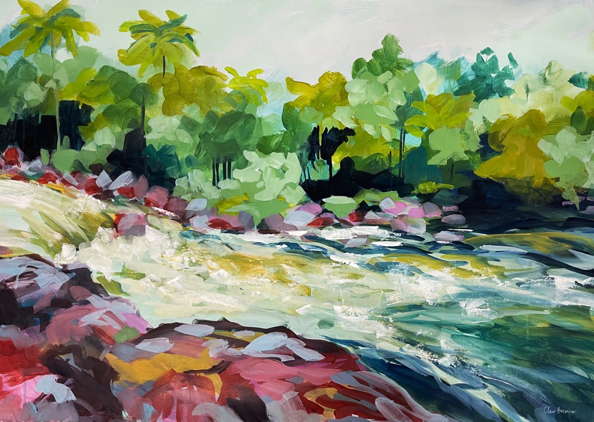 River in the Daintree 2 