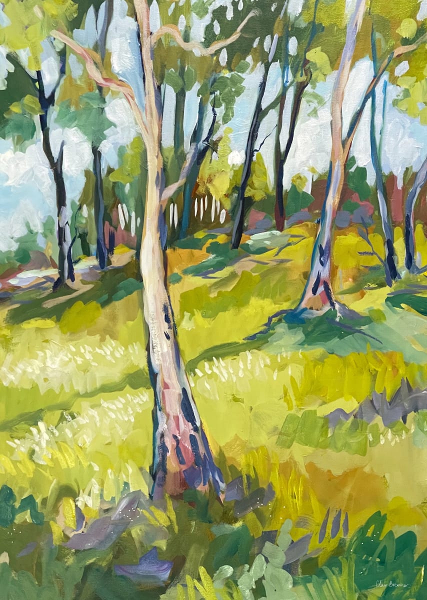 Gumtrees on a Hill 