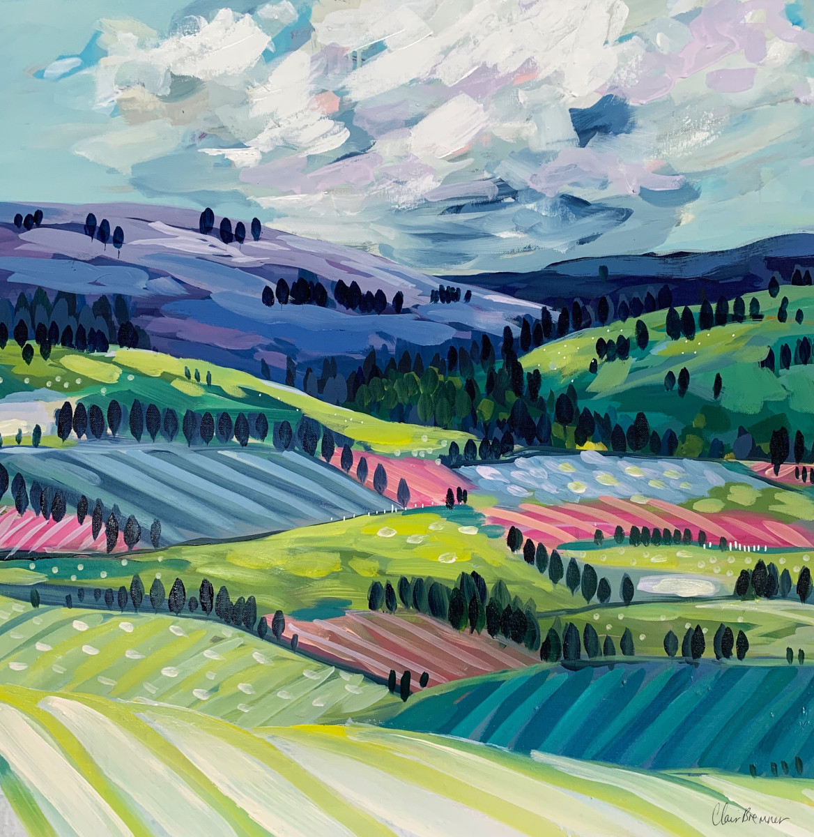 Tulip Fields by Clair Bremner 