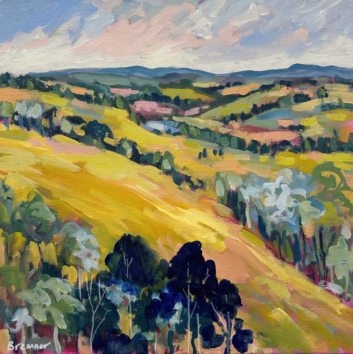 Clear Land by Clair Bremner 