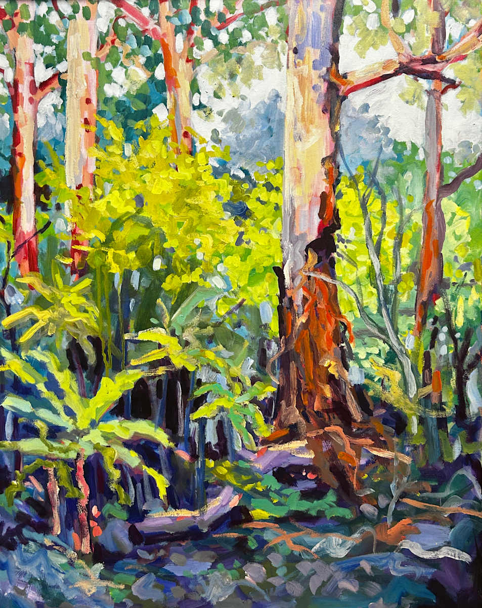 Where the Ferns Gather by Clair Bremner 