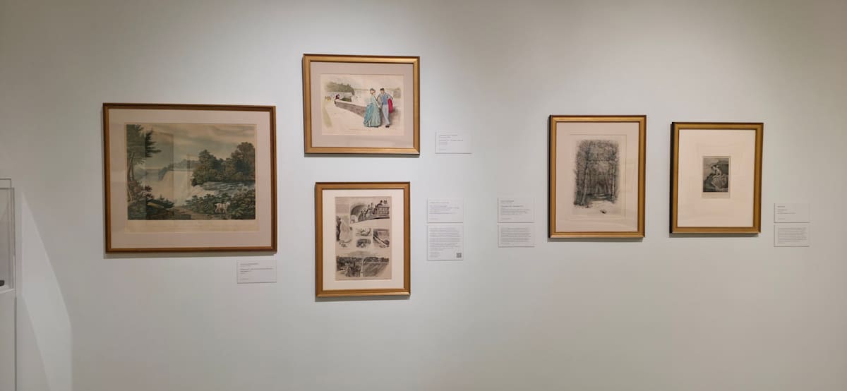 Exhibition Image 7.