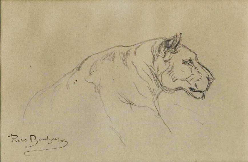 Head of a Lioness by Rosa Marie Bonheur 