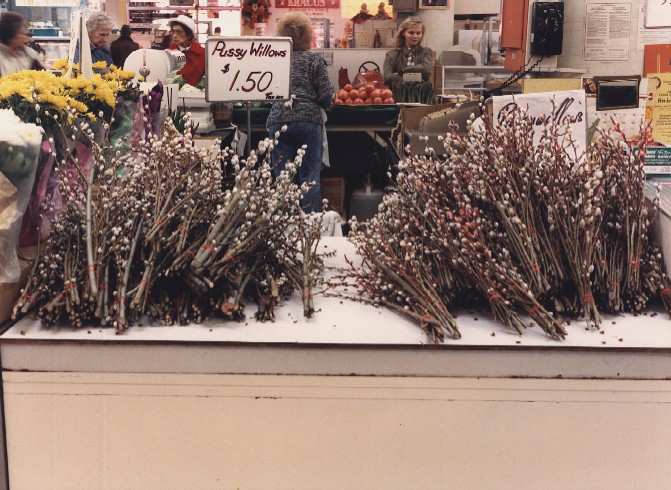 Broadway market: pussy willows by Marion Faller 