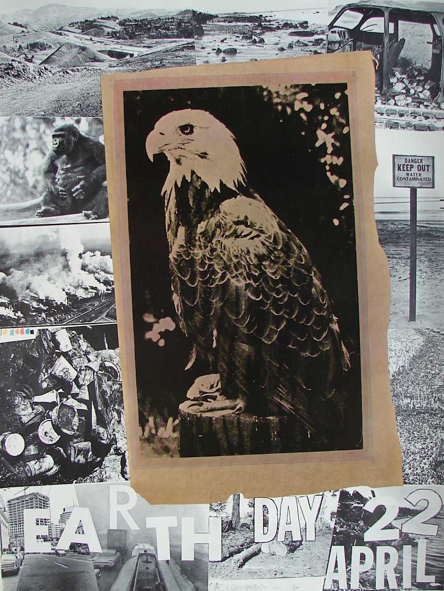 Earth Day by Robert Rauschenberg 