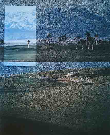 American Garden Series #11, Desert Palms by Vikky Alexander, Ellen Brooks 