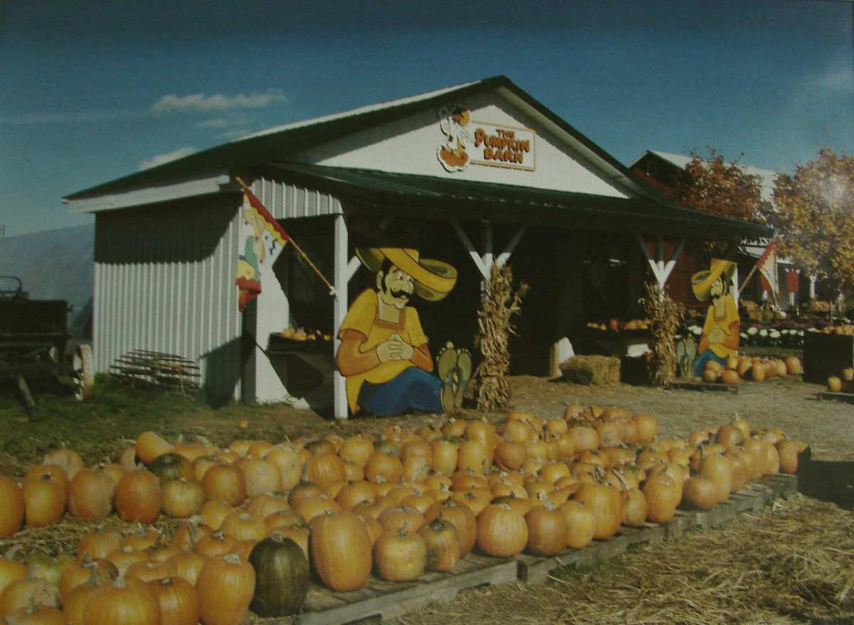 Becker Farms: Pumpkin Barn,Gasport,NY by Marion Faller 