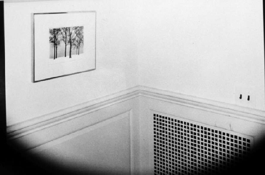 Untitled #409 by Michael Bishop 