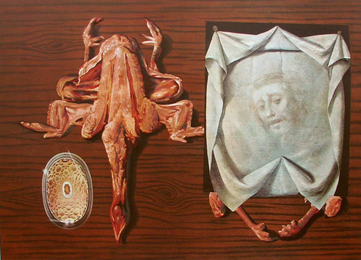 Les Spoutniks Astiqués d’Asticots Satistiques—Escargots Grenouilles (Sputniks Polished by Statist... by Salvador Dali 