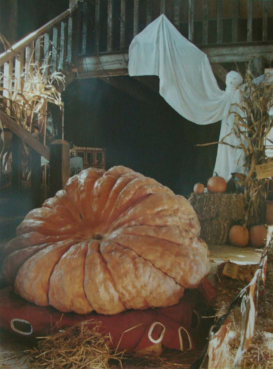 World's Largest Pumpkin, The Great Pumpkin Farm, Clarence, New York by Marion Faller 