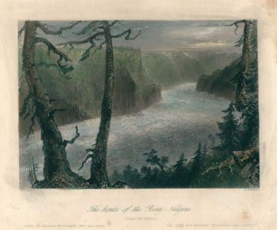The Banks of the River Niagara (below the Falls) by William Henry Bartlett 