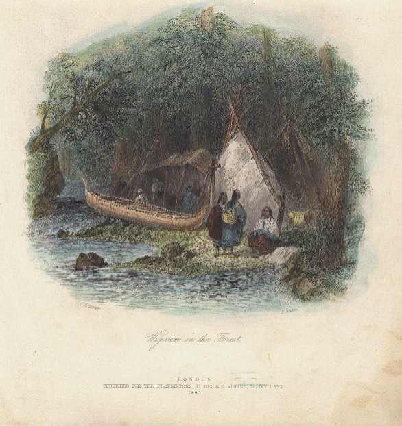 Wigwam in the Forest by William Henry Bartlett, Image 2.