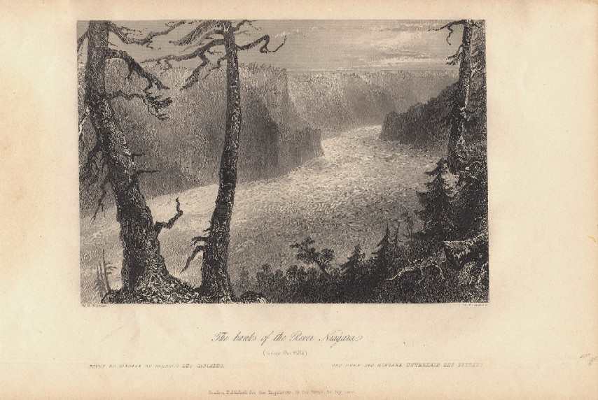 The Banks of the River Niagara (below the falls) by William Henry Bartlett 