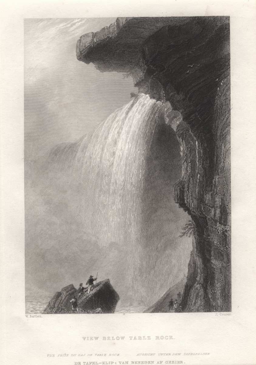 View Below Table Rock by William Henry Bartlett 