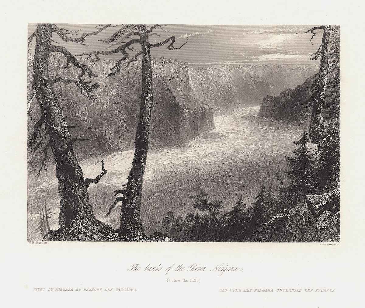 The banks of the River Niagara (below the falls) by William Henry Bartlett 