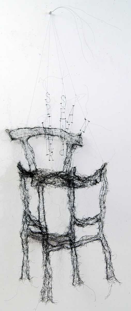 A Spider Sewed at Night by Lesley Dill 