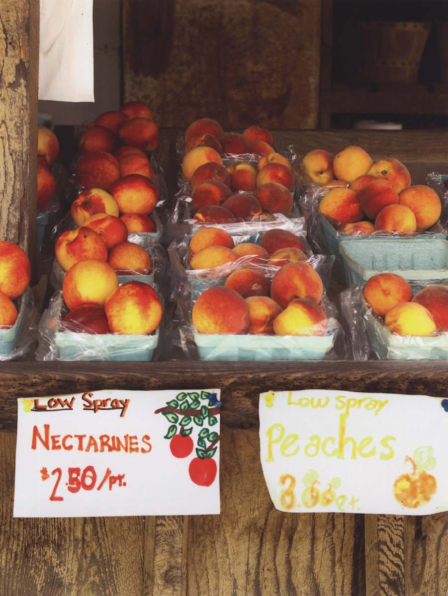 Low Spray Nectarines, Thorpe's Farm Market, Wales Center, NY by Jim Bush 
