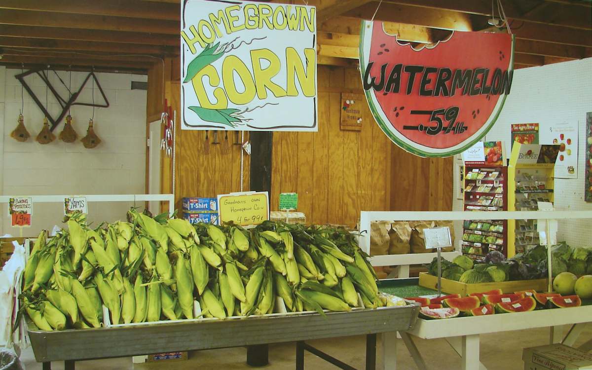 Corn Display, Goodman's Farm Market, Niagara Falls, NY by Jim Bush 