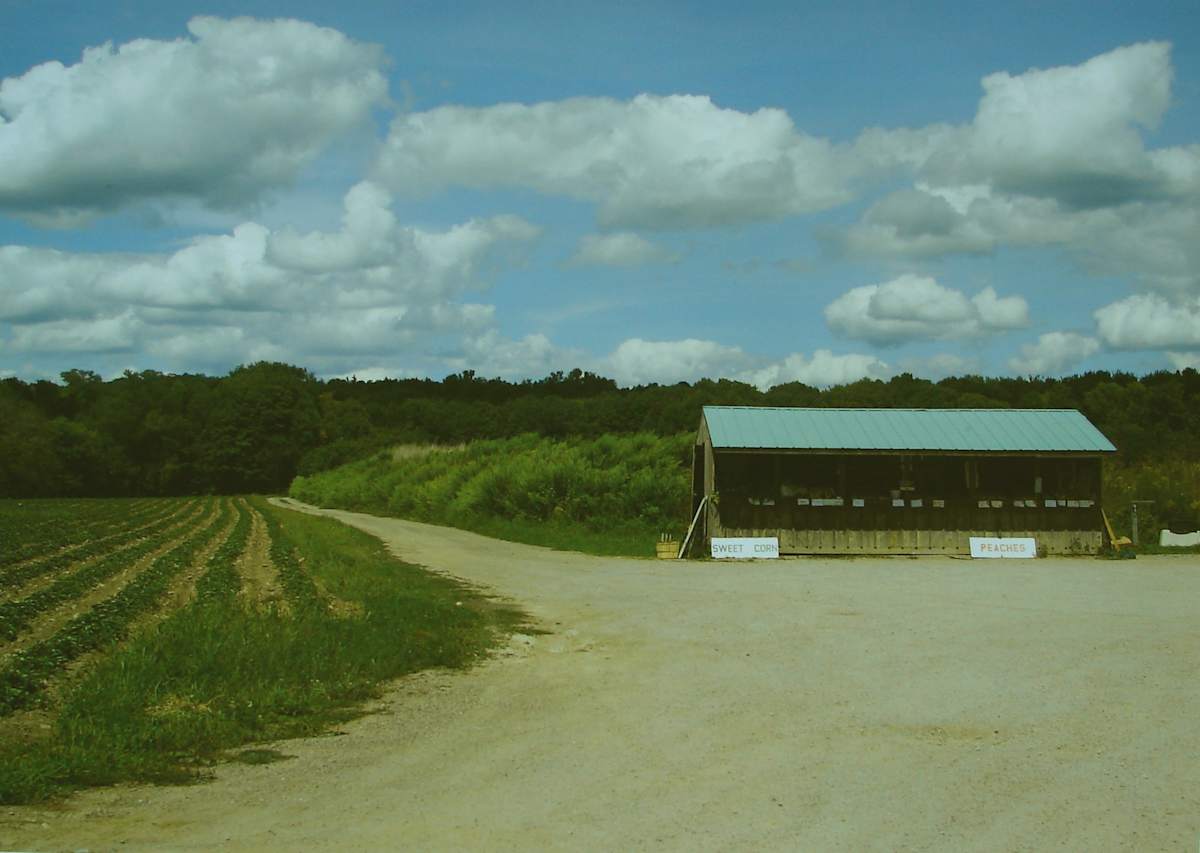 Thorpe's Farm Market, Wales Center, NY by Jim Bush 