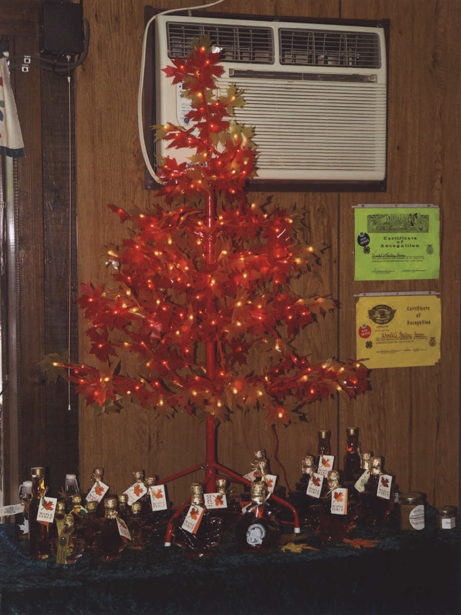 Maple Display, Wendel's Poultry Farm, East Concord, NY by Jim Bush 