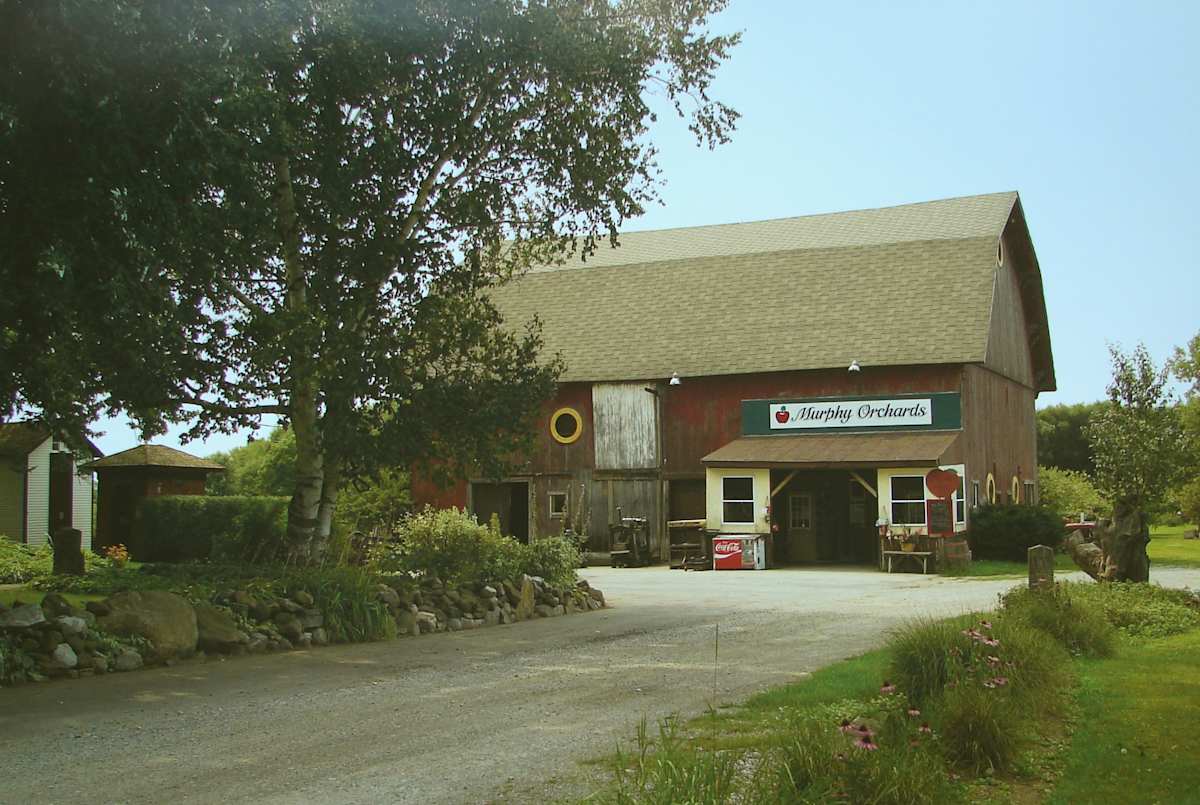 Murphy Orchards, Burt, NY by Jim Bush 
