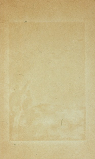 Watermark Paper by Barbara Bloom 