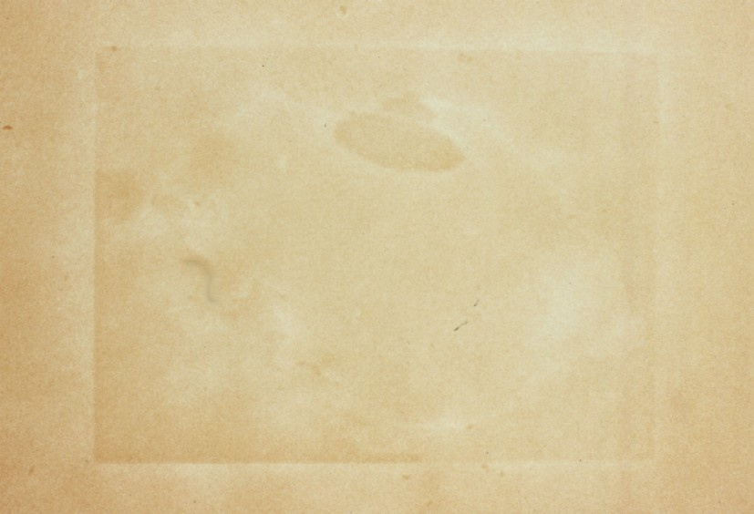 Watermark Paper by Barbara Bloom 