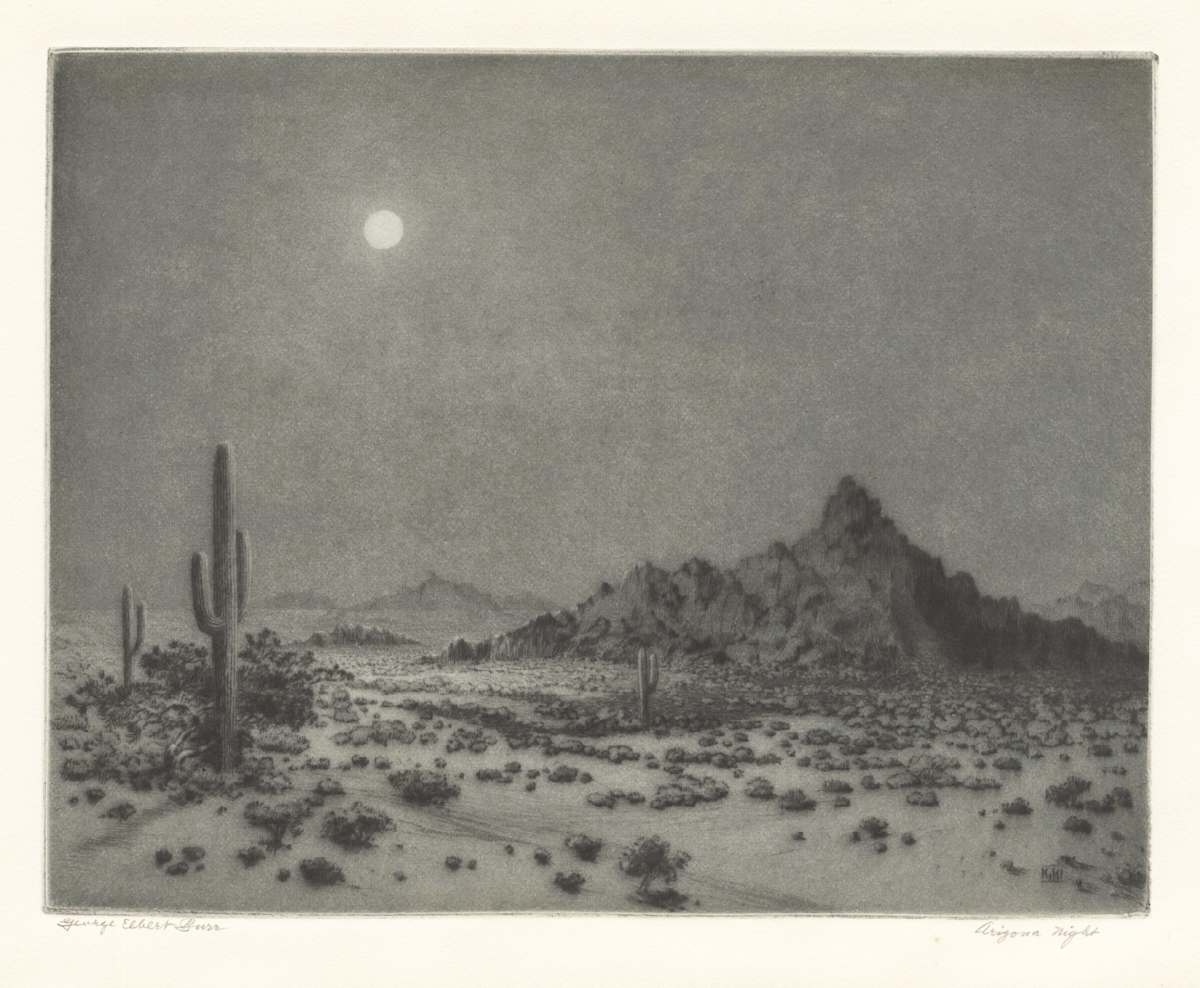 Arizona Night by George Elbert Burr, Image 2.