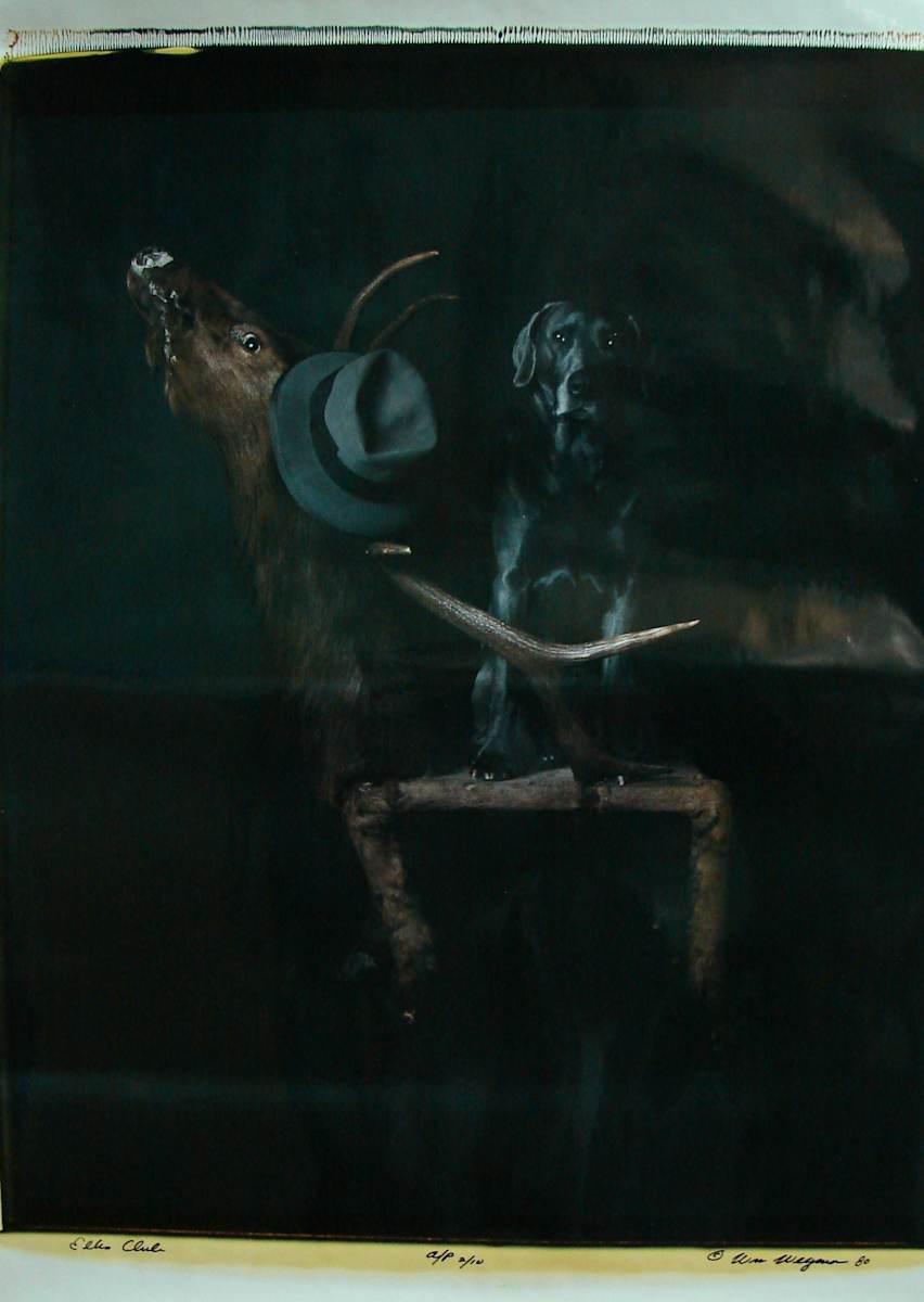 Elk's Club by William Wegman 
