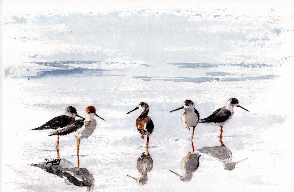 5 pipers pipping by Chantal 