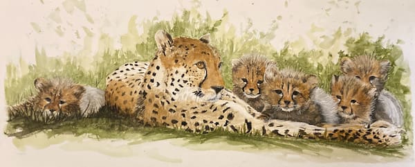 Calm Down Children by Chantal  Image: cheetah family