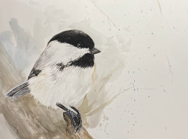 Chickadee-dee by Chantal  Image: chickadee