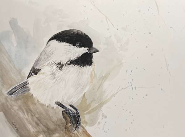 Chickadee-dee by Chantal, Image 1.