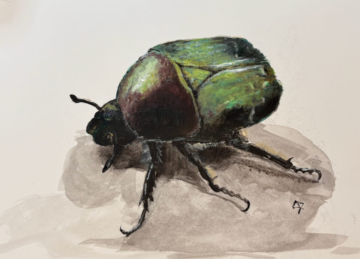 European Rose Chafer by Chantal 