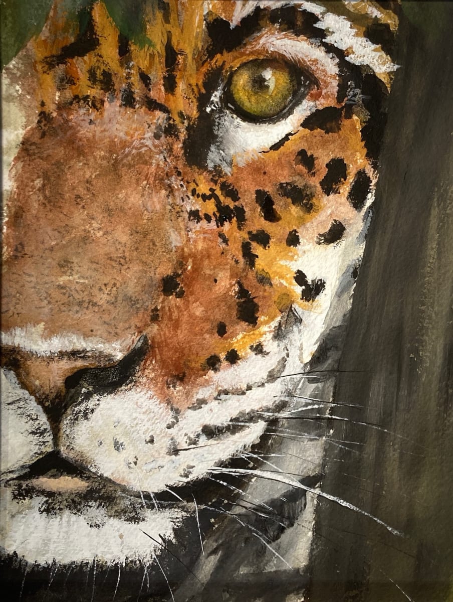 Focus by Chantal, Image 1.