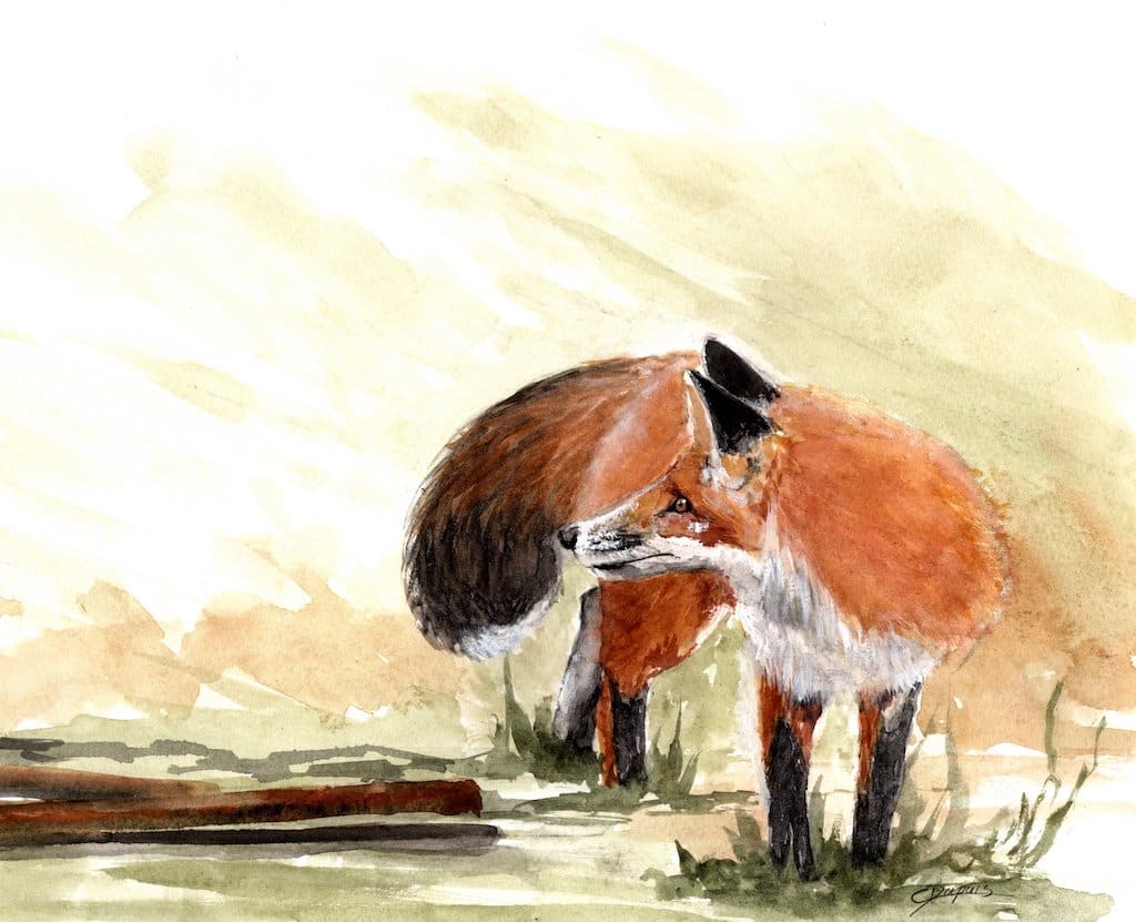 Foxy Lady by Chantal, Image 1.