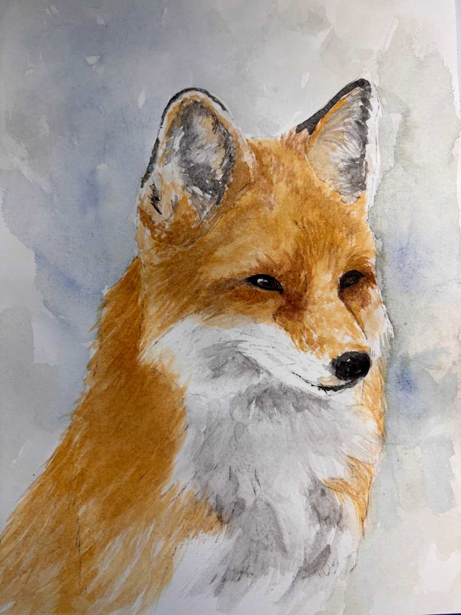 Barrie's Fox by Chantal 