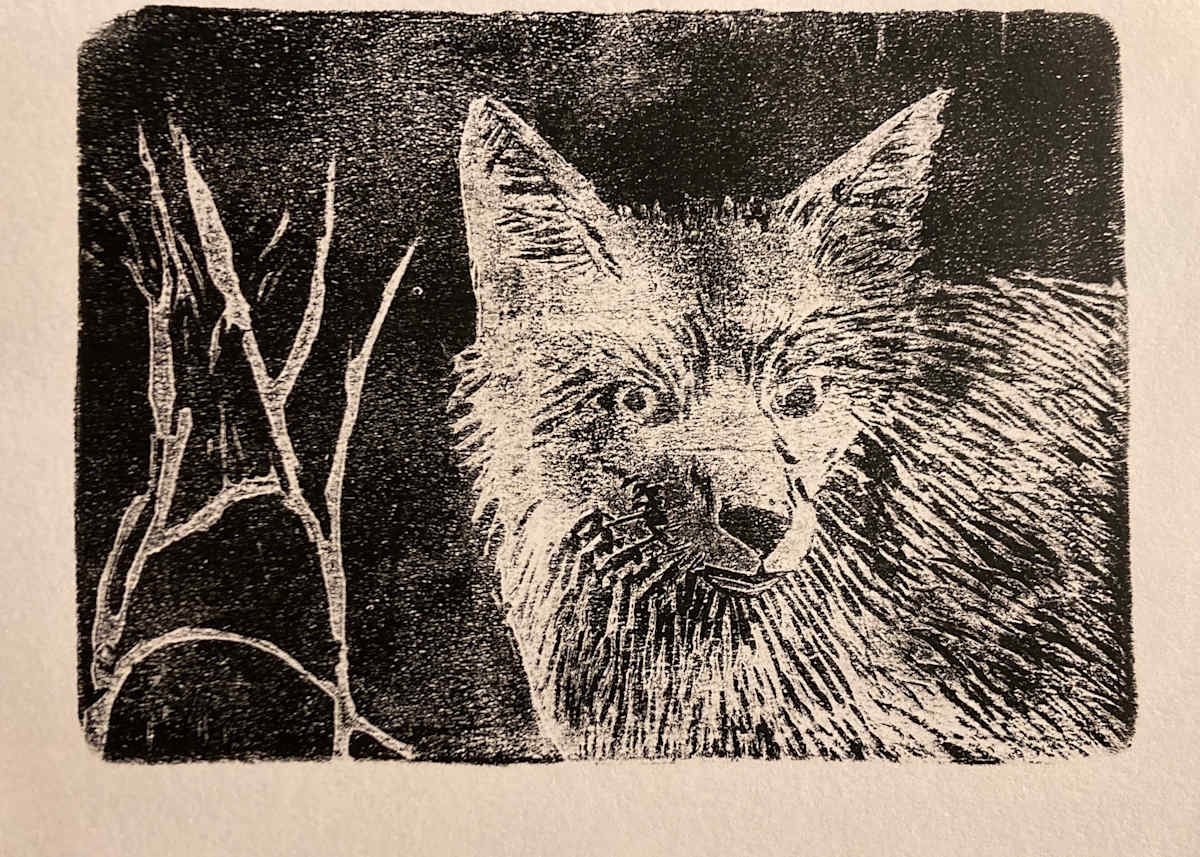 Urban Fox by Chantal, Image 6.
