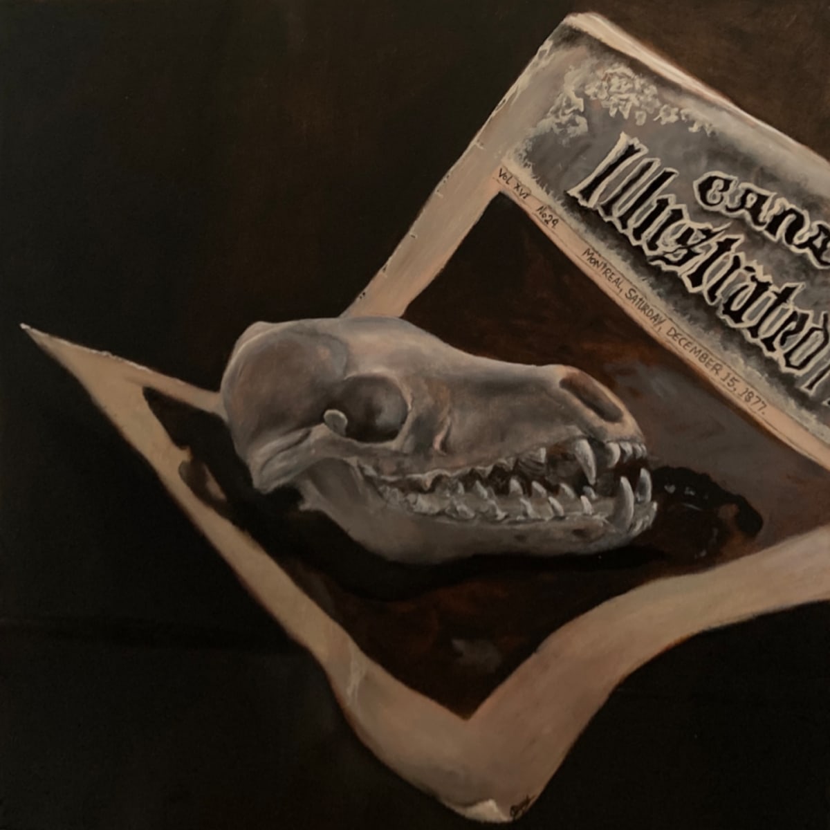 In Times Past by Chantal  Image: Memento mori style coyote skull on 1870s Canadian Illustrated News newspaper