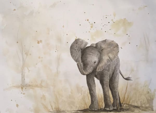 Mud bath by Chantal  Image: baby elephant