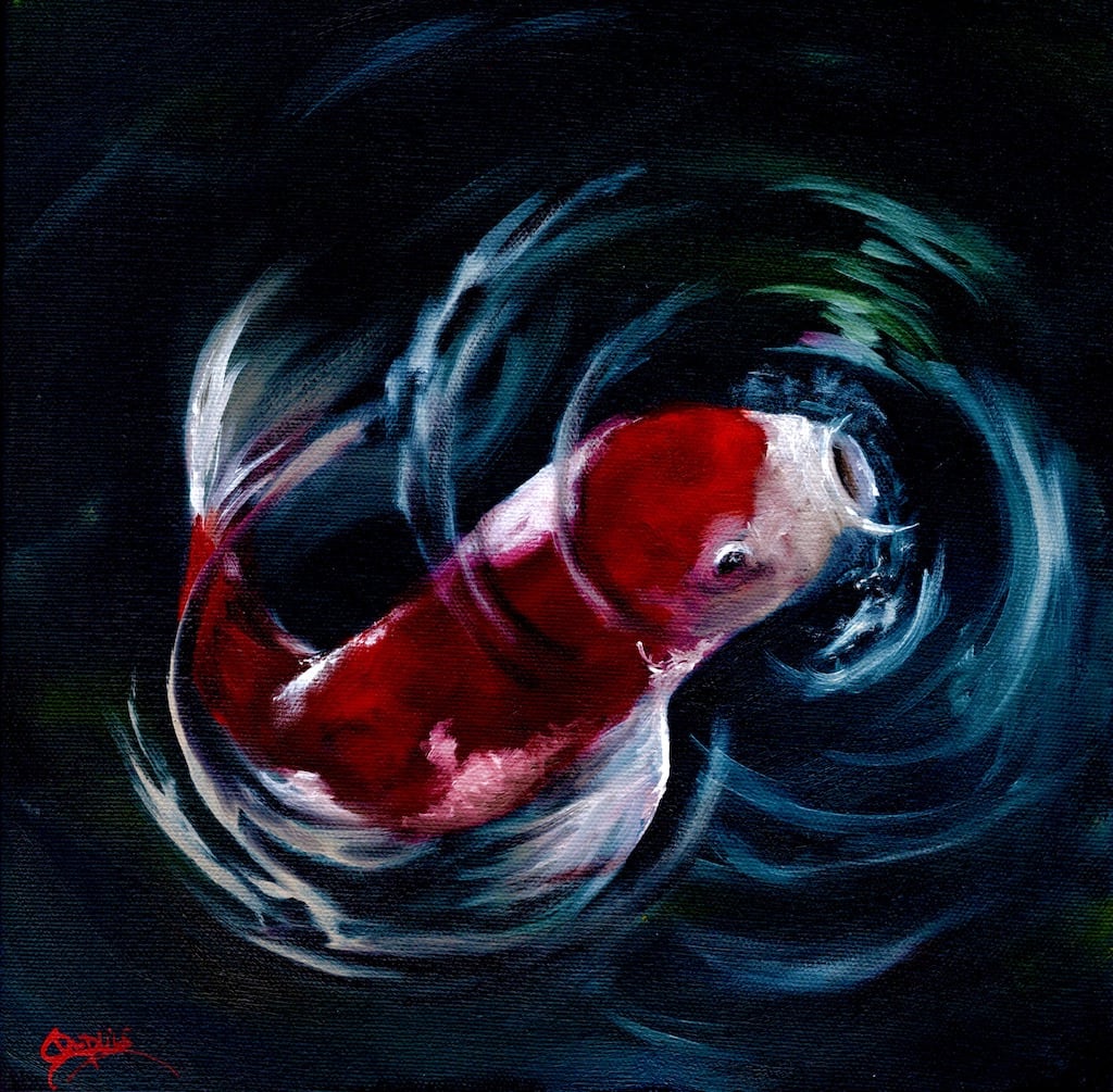 Out of breath by Chantal  Image: koi fish