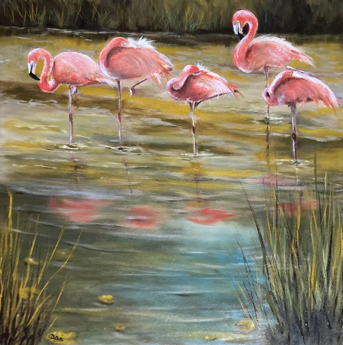 Reflections of Pink by Chantal  Image: 5 pink flamingos huddled and sleeping in a pond at Grandby Zoo