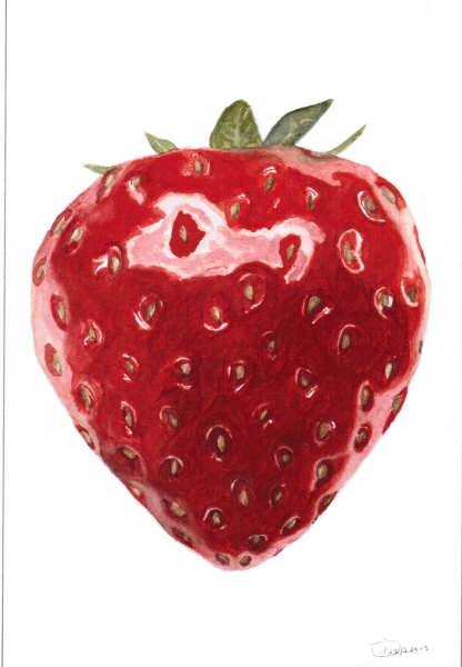 Strawberry by Chantal 