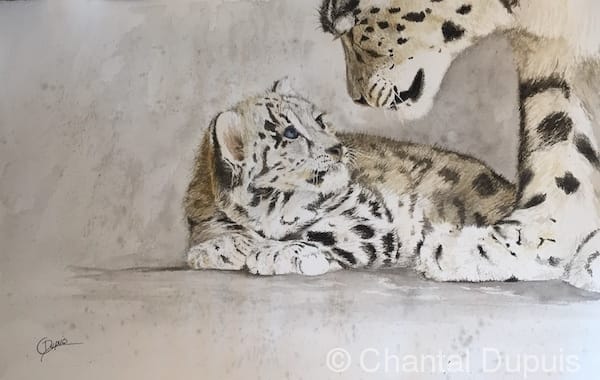 Simple Love by Chantal  Image: parent and cub snow leopards