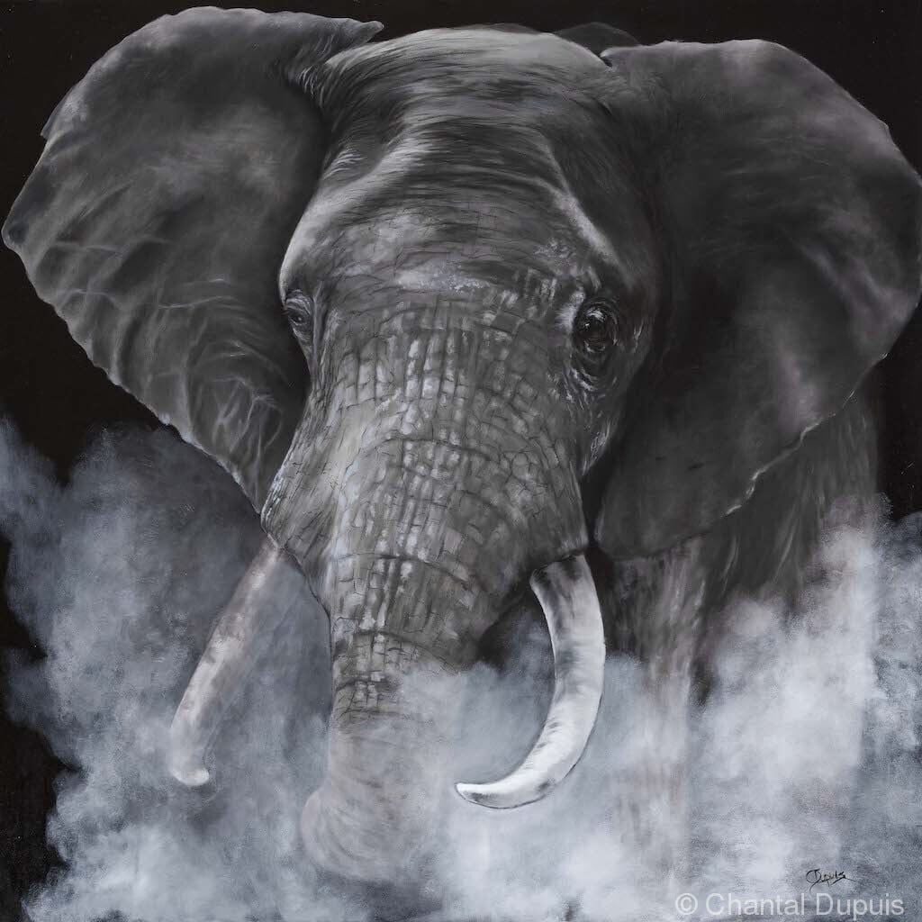 Matriarch by Chantal  Image: elephant